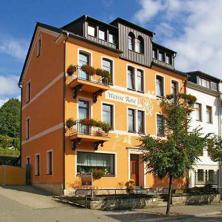 Pension Weisse Rose, Parkplatz, Fruehstueck, Wlan, Zentral Бад Елстер Екстериор снимка