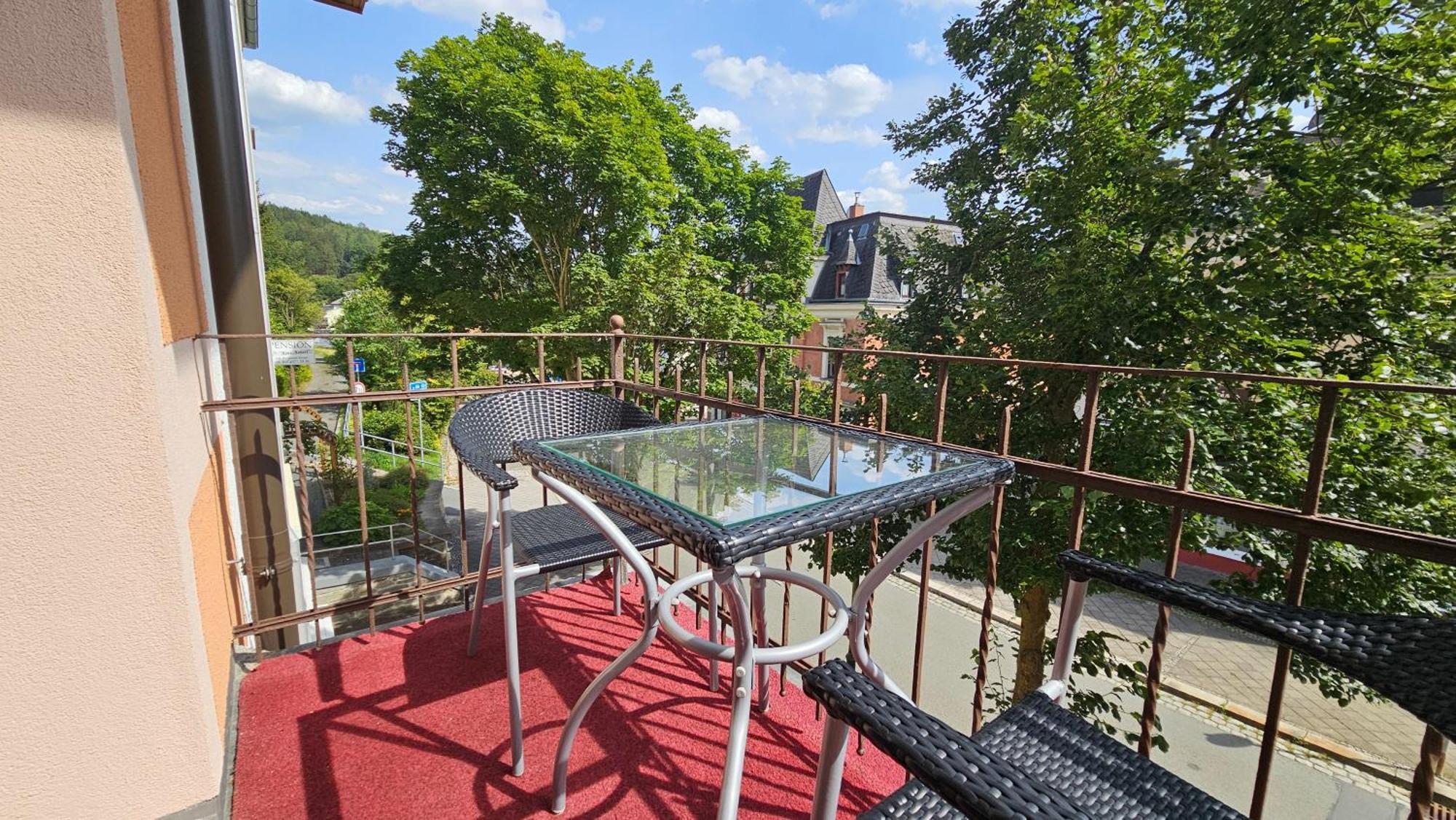 Pension Weisse Rose, Parkplatz, Fruehstueck, Wlan, Zentral Бад Елстер Екстериор снимка