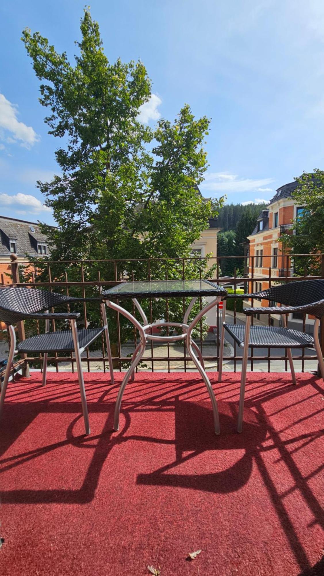 Pension Weisse Rose, Parkplatz, Fruehstueck, Wlan, Zentral Бад Елстер Екстериор снимка